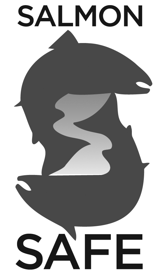BWS Logo